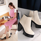 Ankle Boots for Women Platform High Heels Thick Heel Pu Leather Autumn Winter Shoes Woman 3829