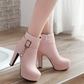 Buckle Ankle Boots Women High Heels Shoes Fall|Winter
