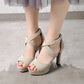 Ladies High Heeled Suede Peep Toe Ankle Strap Buckle Chunky Heel Platform Sandals