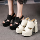 Ladies High Heeled Peep Toe Hollow Out Platform Chunky Heel Sandals