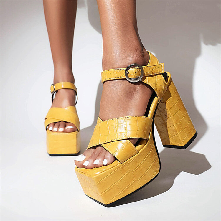 Ladies Ankle Strap Buckle Thick Sole Block Heel Platform Sandals