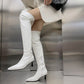 Pointed Toe High Heel Over-the-Knee Boots for Women