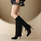 Pointed Toe Tassel Stiletto Heel Knee-High Boots for Women