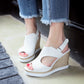 Women Buckle Wedges Sandals Platform High-heeled Shoes