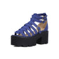 Women Hollow Out Ankle Strap Buckle Thick Sole Chunky Heel Platform Sandals