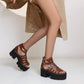 Women Hollow Out Ankle Strap Buckle Thick Sole Chunky Heel Platform Sandals